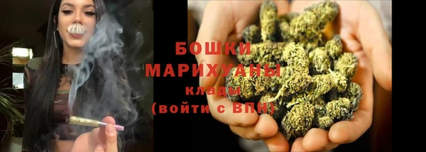 прущие крисы Абаза