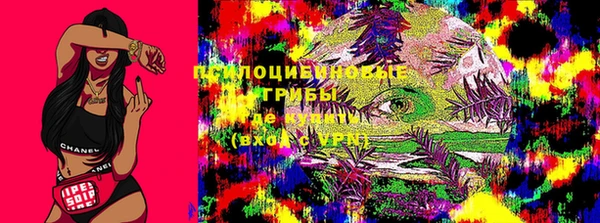 хмурый Алзамай