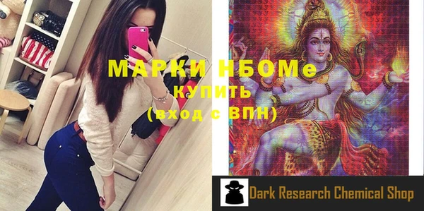 хмурый Алзамай