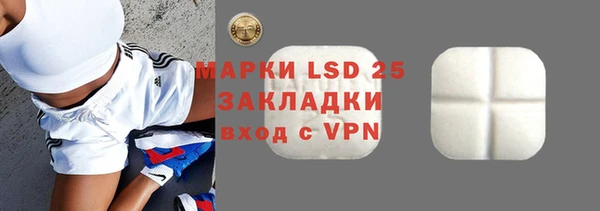 хмурый Алзамай