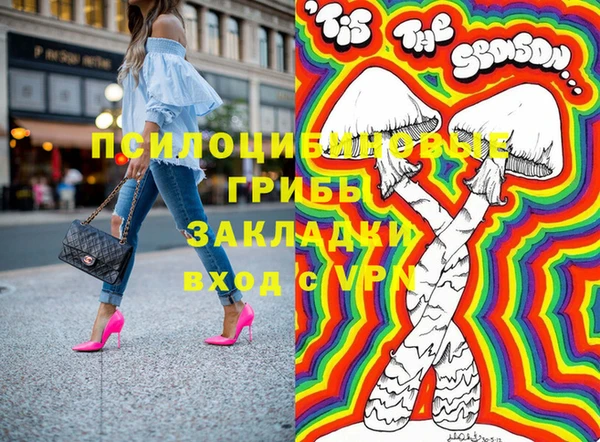 хмурый Алзамай